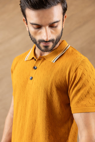 Amber Ace Polo